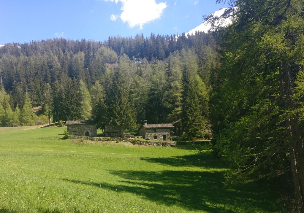 gueguen_p's tweet photo. #vanoise https://t.co/D685fOvdcz