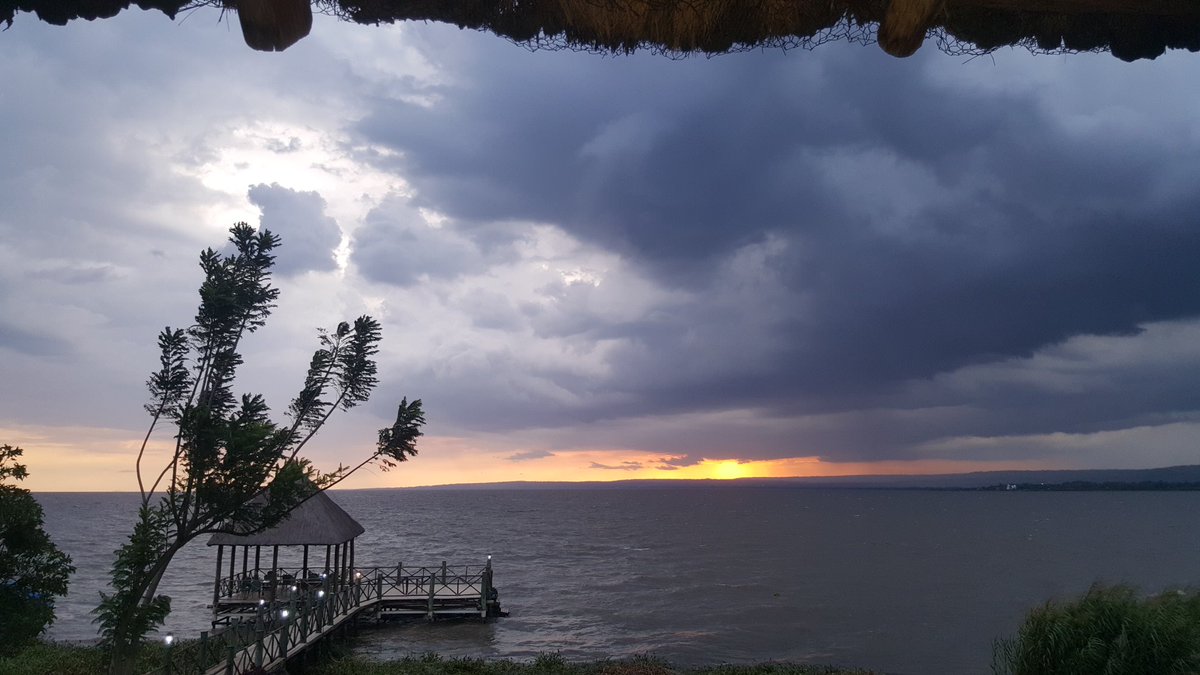 joeorango's tweet photo. Most welcome @ImpalaEcoLodge https://t.co/zK5N6ovSTi