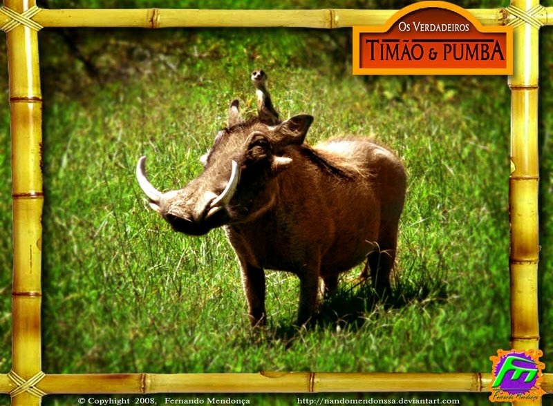 KhronoShift's tweet photo. Not 100% sure on this one but I don't recall the AA In Pumbaa. I did manage to find a lot of #residue with just one A. #MandelaEffect https://t.co/63QiTGCVEZ