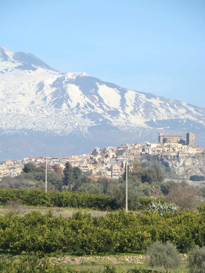 arancedagustare's tweet photo. Nostro #agrumeto alle pendici #Etna https://t.co/G6czSxlmtv