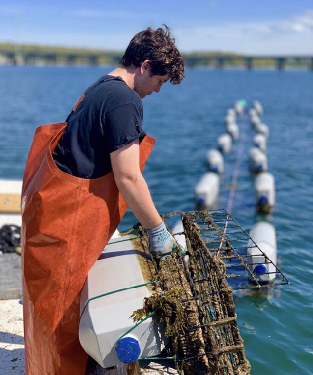 #FarmerFriday!  The Henninger Family of @madeleinepointoyster are proudly growing their oysters in the coastal waters off of Yarmouth, ME.
Be sure to ask for them at your favorite local oyster bar!
📷: @madeleinepointoyster .
#downonthefarm #knowyouroysterfarmer #sustainable