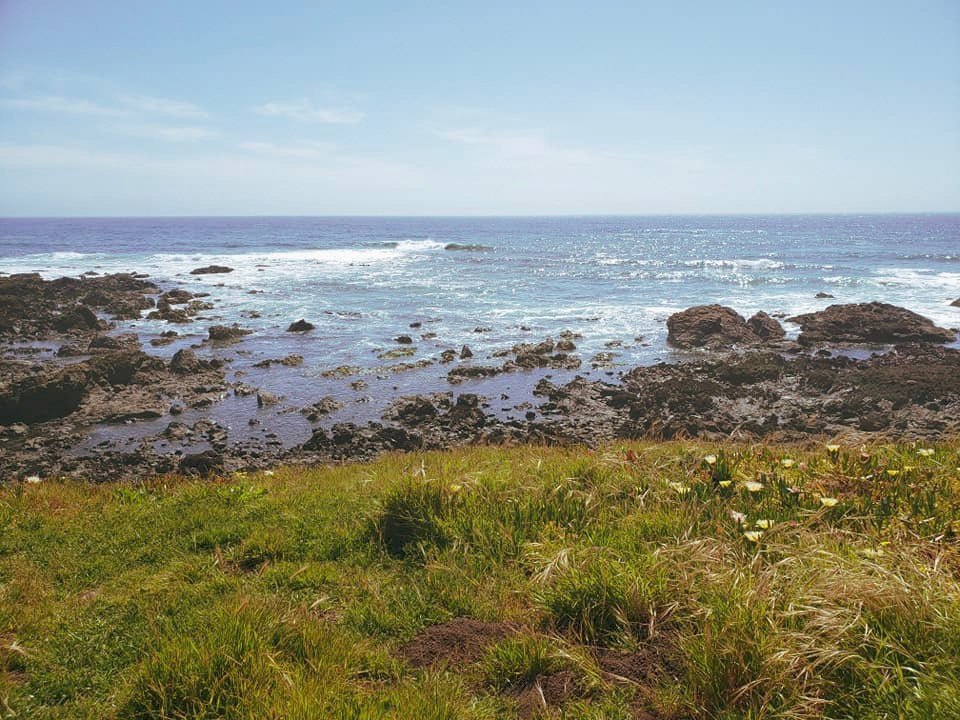 bobstricklin's tweet photo. Coastal living is good for your health! Air along the coast is charged with negative ions that allow the body to more easily absorb oxygen. This can have a beneficial effect on your overall level of health and well-being.⠀

#realty #funfact #realtor https://t.co/OLIUmJR48W