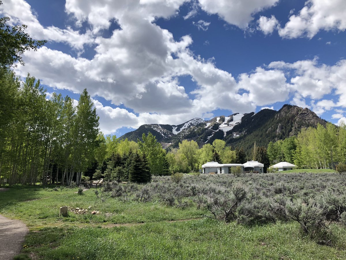 A grassy meadow with some shrubbery and tall green trees on the left and some white buildings in the distance with snow-capped mountains behind and some fluffy white clouds in a blue sky