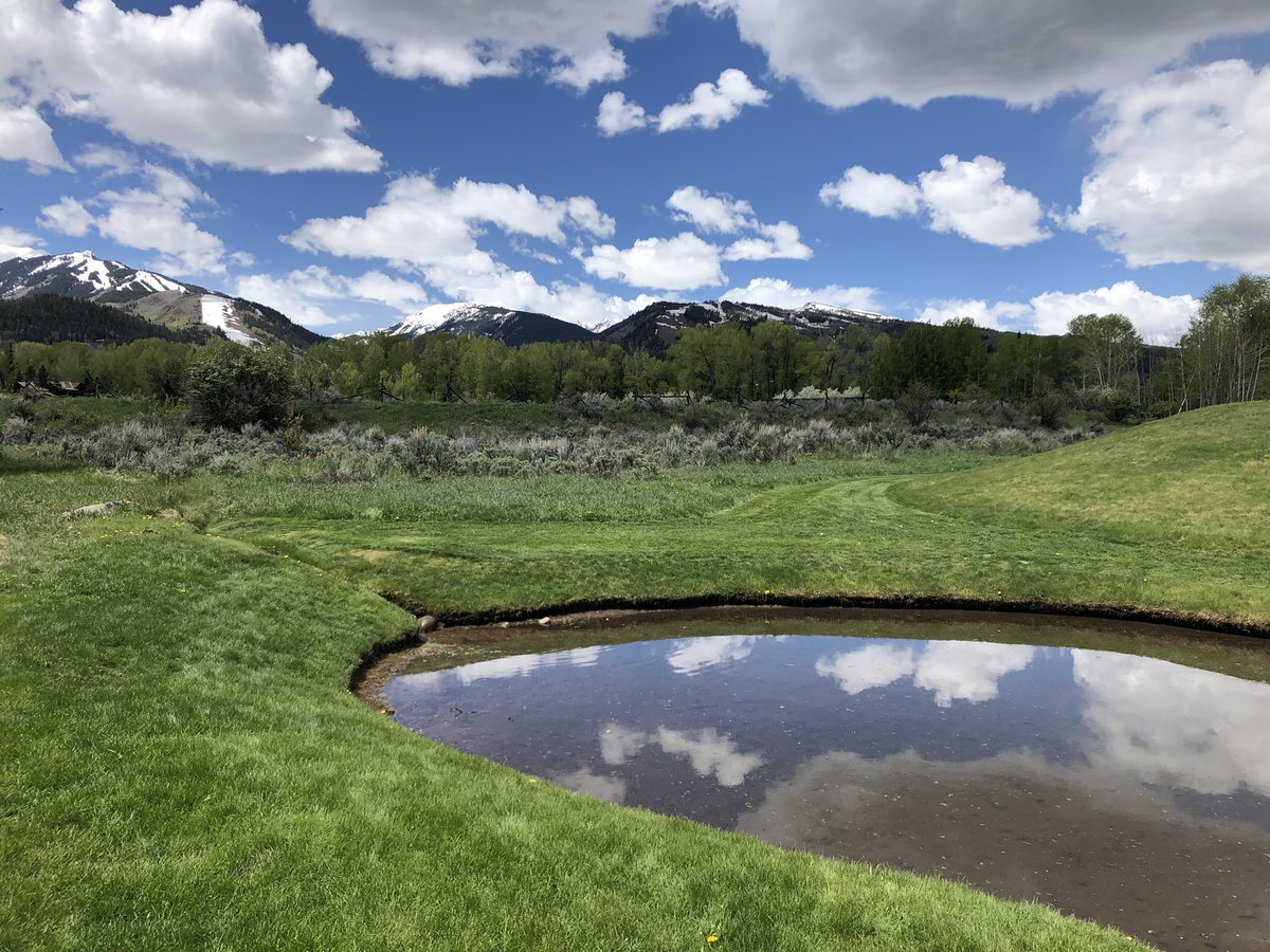 A grassy field with a small pond reflecting the clouds and sky. There are snow-capped mountains and green trees in the distance.