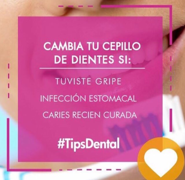 EsteticaDenntal's tweet photo. #TipDental https://t.co/iqGYvNdbzi
