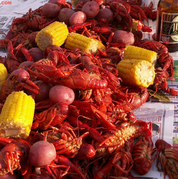 Visit Muskogee tweet media