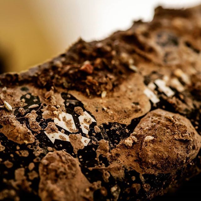 Best of luck to everyone who is going to have a big weekend in the mud. #rideformula - pic. <a href="/alexluise/">AlexLuise</a> bit.ly/2EIVLUU