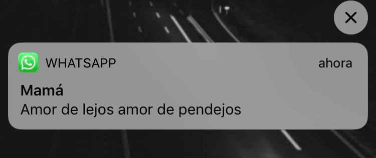 Kamiloo_V's tweet photo. Otras mamás:  dos personas que se quieren no les queda grande la distancia.

Mi mamá: https://t.co/GfRtxBC8HO