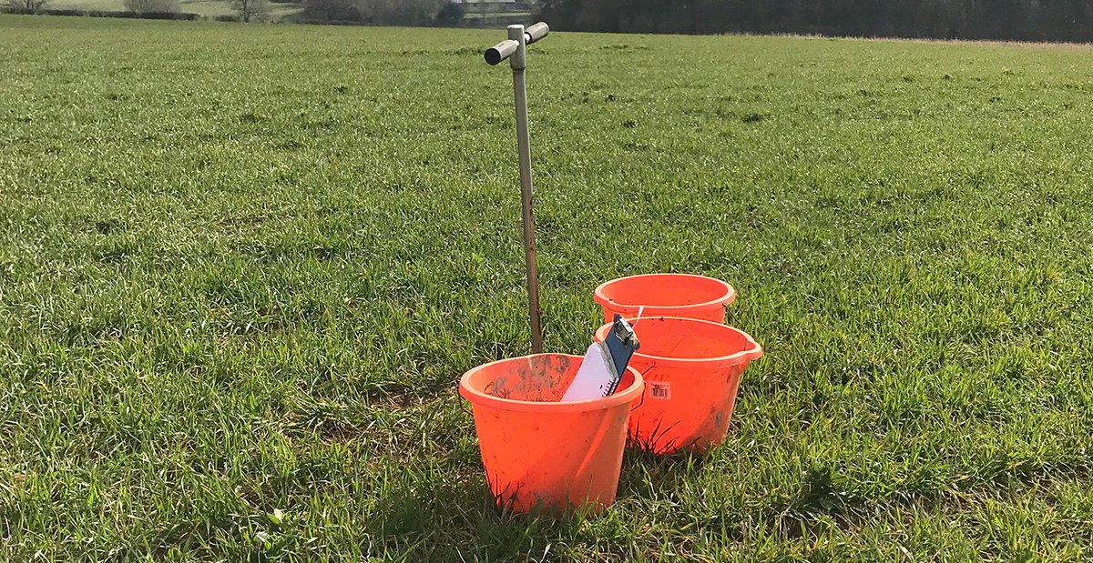 agritecchie's tweet photo. Come to stand 388 at the #RoyalCornwallShow, on Thursday morning 6 June, to discover how we are helping businesses develop robust and practical protocols to measure and value soil health and carbon sequestration

https://t.co/0D1SlQ7Ksv

#SoilHealth #NaturalCapital https://t.co/a6j15H4wOi