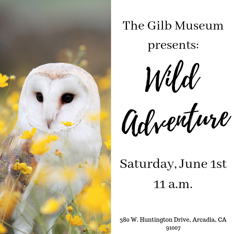 GilbMuseum's tweet photo. Join us this Saturday for our Wild Adventure courtesy of #NatureofWildWorks ! It'll be a hoot! https://t.co/18s4rNW99q