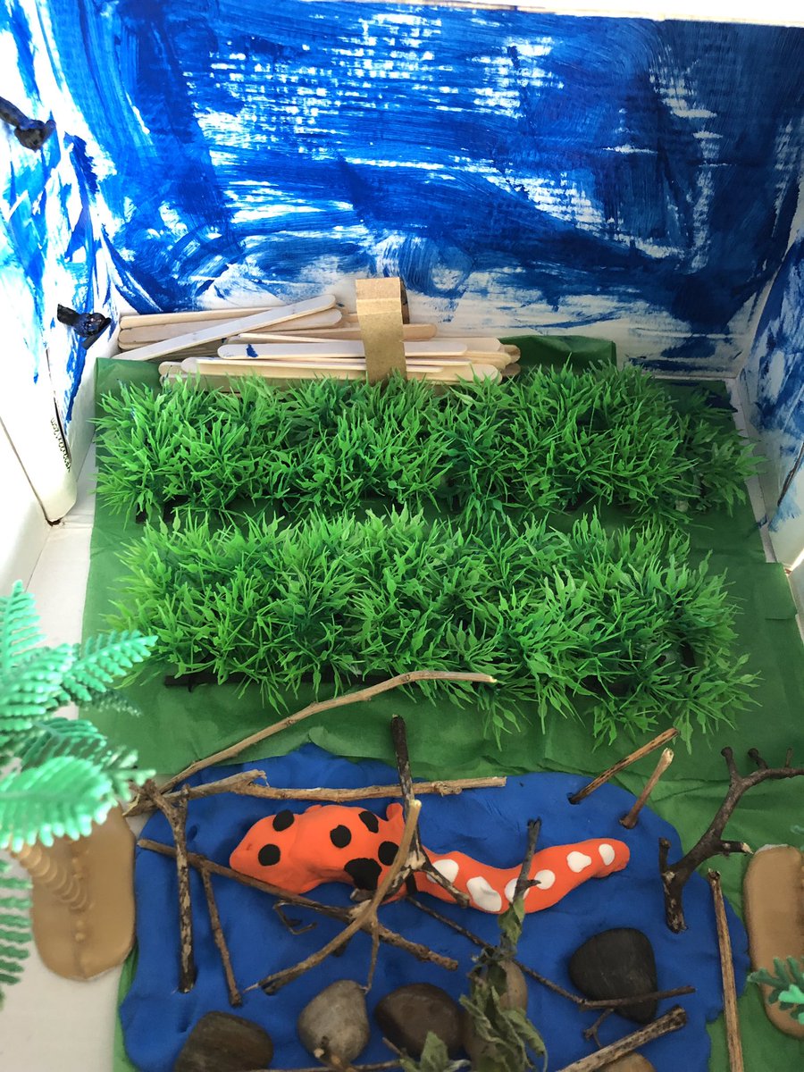 MaronMrs's tweet photo. Take a look at our fantastic Animal Diorama Science projects. The students were so excited to work on these habitats in a shoe box. Way to go grade 1's! https://t.co/4ja1LhCZgK