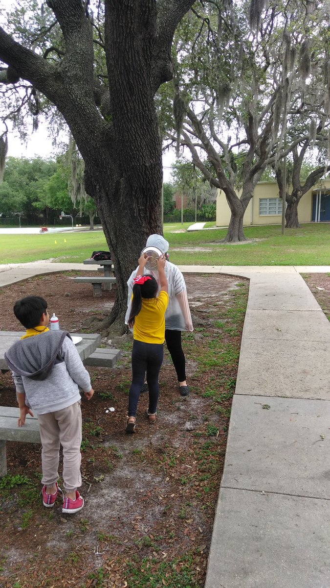 CurriculumAssoc's tweet photo. Mrs. Genever shares, "My students met their goals for both #iReady Reading &amp; Math and got to pie me today! It was delicious and fun! 😁" #MyiReady #iReadyFL https://t.co/hexctVqKJq