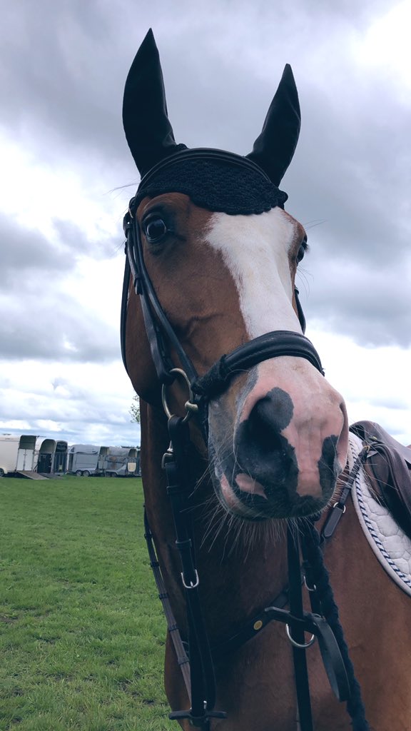 Ibba, debuterade 120 idag som hon inte gjort något annat 🤩🤗 #sheisakeeper #goodgirl