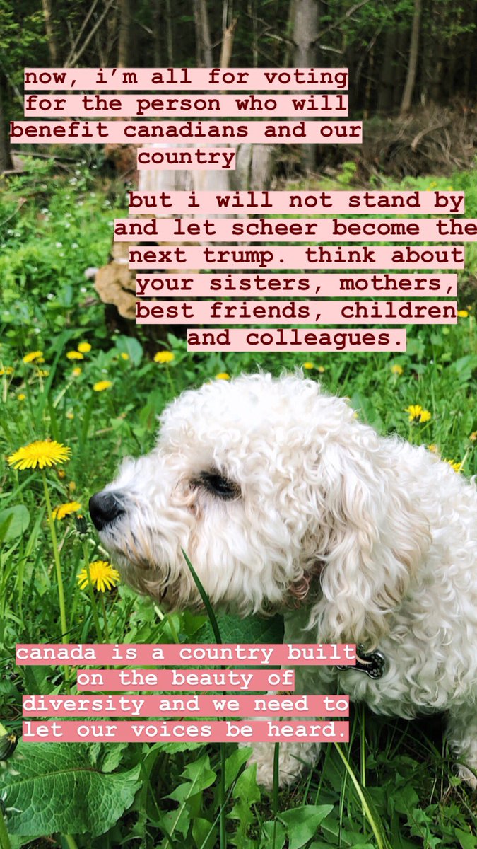sophie_leyshon's tweet photo. i’ll say it a million times over, please think before you vote. 
educate your friends, family, neighbours, children and puppies. 
come on canada 🇨🇦 https://t.co/ZsoqiccXyK