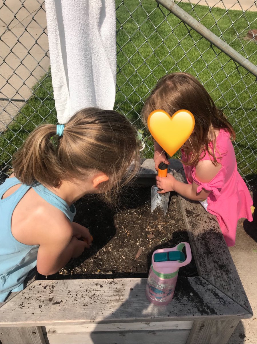 UNDuclc's tweet photo. A little #UCLCsummergarden19 going on as the plants put in. https://t.co/kBixfGjFUf