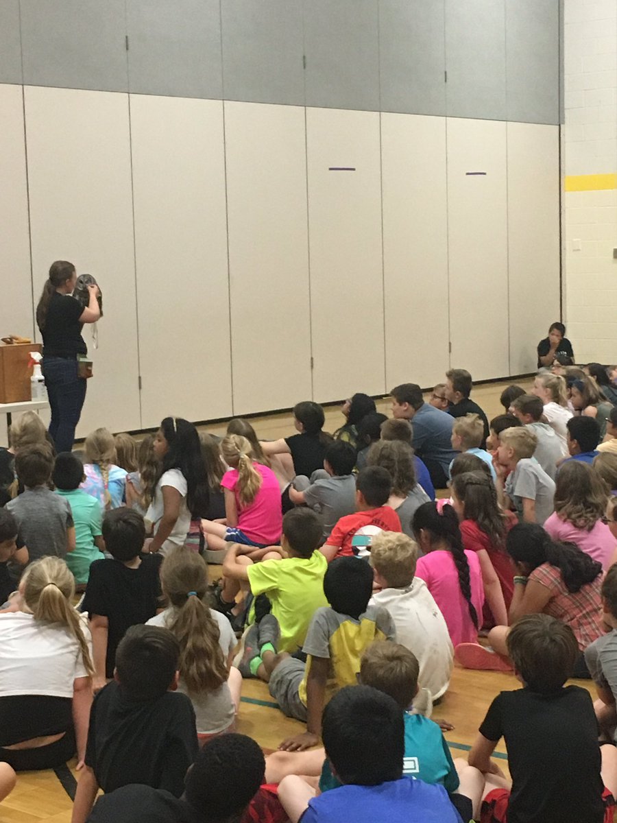 Bamber_Valley's tweet photo. Eagle Bluff Raptor Assembly at BV! https://t.co/WOo1HKX6zS