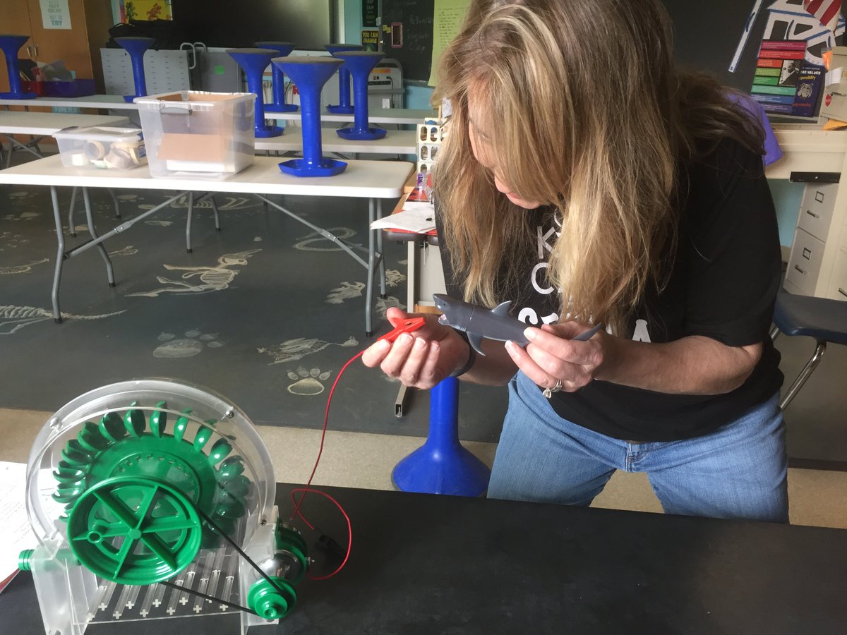 Kathy Bertini tweet media