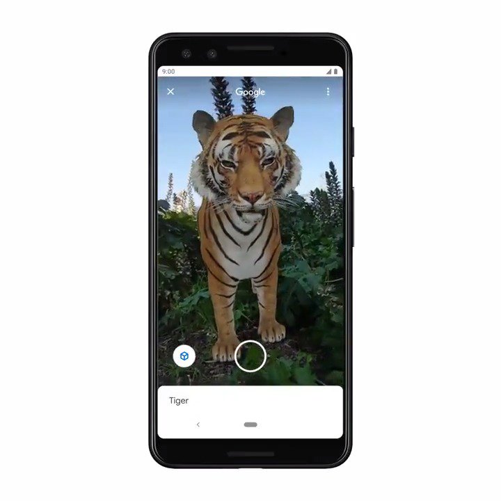 Google 3D Tigers  Google's AR animals: You can get a 3D view of