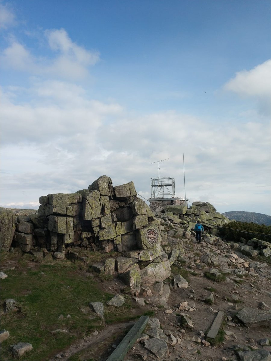 SO3Z Andy tweet media