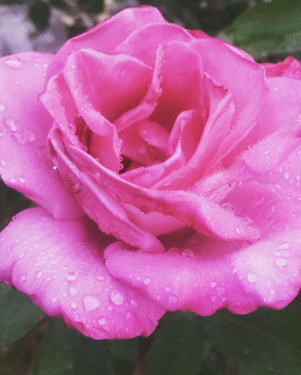 TaSoNi13's tweet image. Good night friends!) Goodbye spring) #lastdayofspring #lastdayofmay