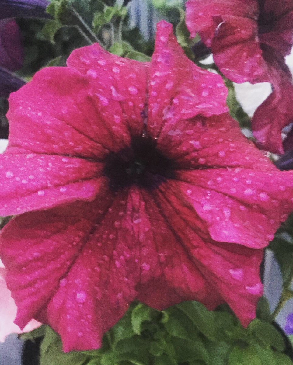 TaSoNi13's tweet image. Good night friends!) Goodbye spring) #lastdayofspring #lastdayofmay