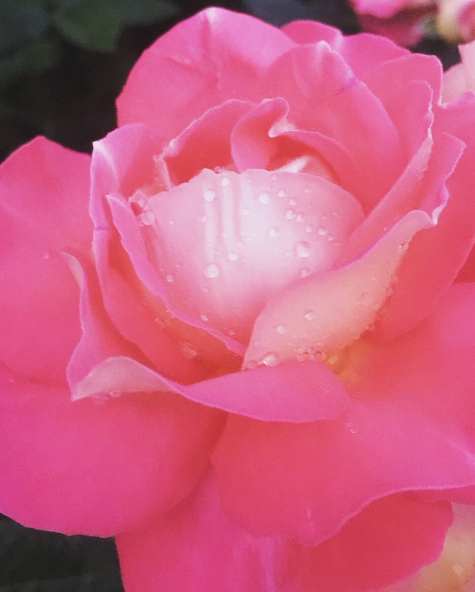 TaSoNi13's tweet image. Good night friends!) Goodbye spring) #lastdayofspring #lastdayofmay