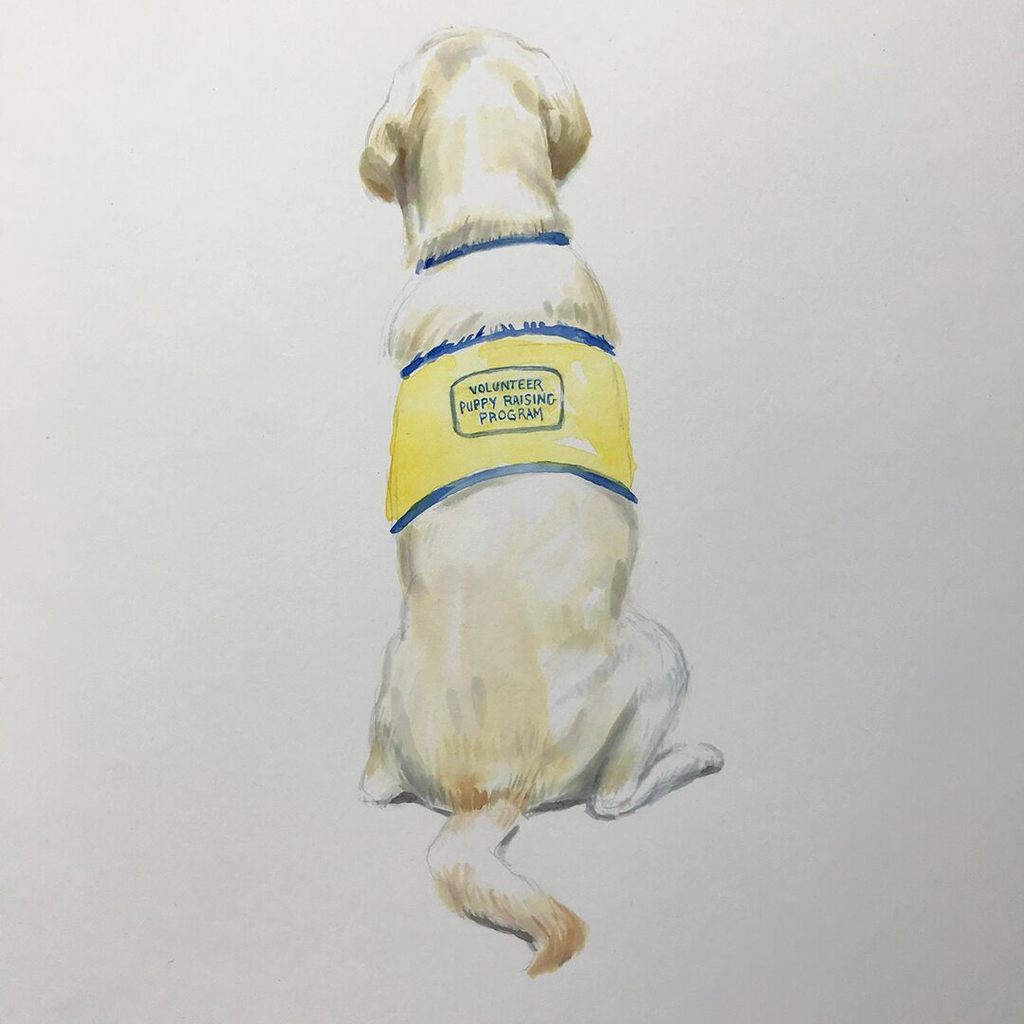hub4hugs's tweet photo. "The Daily Spike: Canine Companions model for sketch artists at NYC's Society of Illustrators" via FOX NEWS https://t.co/DcAbZguy65 https://t.co/bK8kcdakSC