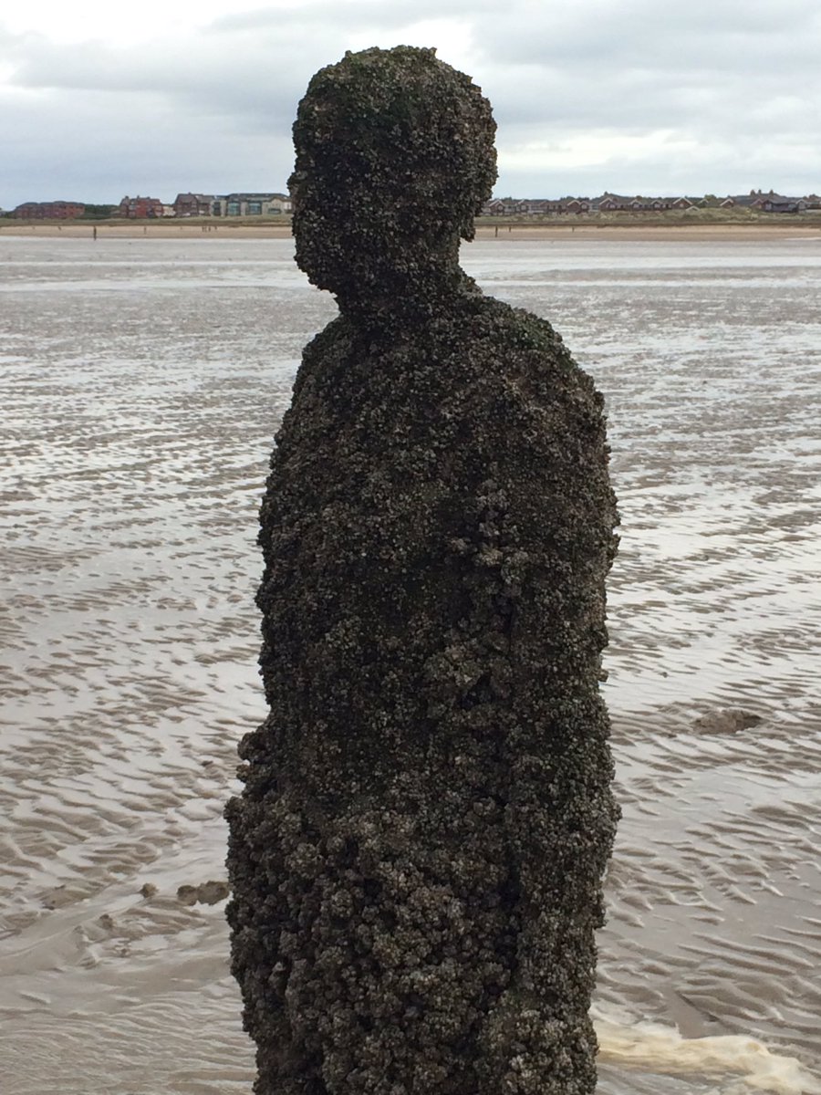 MrsGreatLakes's tweet photo. Went to see the barnacle boys on Crosby beach today &amp; started sinking in the gooey sand ... #AnotherPlace 😂😂 https://t.co/Yh2UzSyvVs