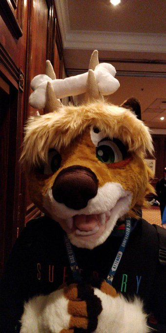 3 pic. My first Con, And I had the best time ever c: Getting to see so many friends, Be myself and just