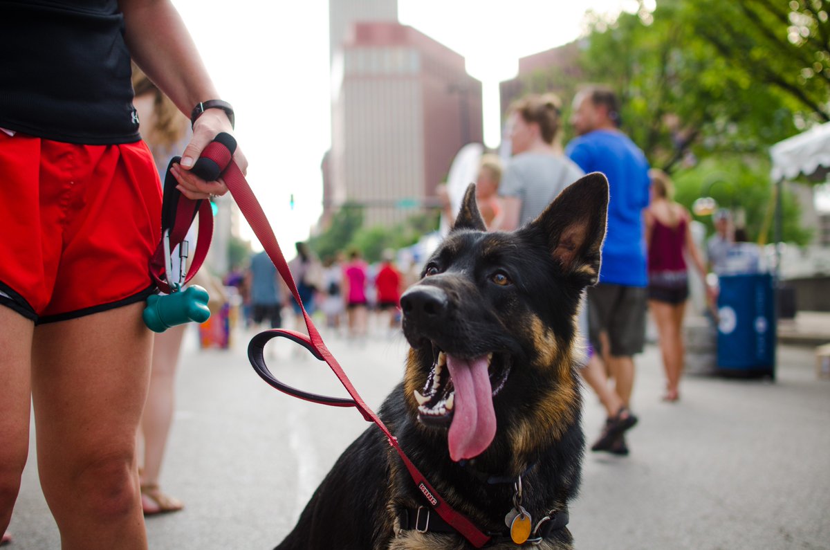 OmahaSummerArts's tweet photo. ONE! WEEK! Who is ready for #OSAF2019? π€ΈββοΈ Follow us on Twitter, Instagram and Facebook to keep updated on special events, performances and more! We'll see you (and hopefully your furry companion) there π #BuyArtMakeMemoriesOmaha #OmahaSummerArts https://t.co/and71tEyod