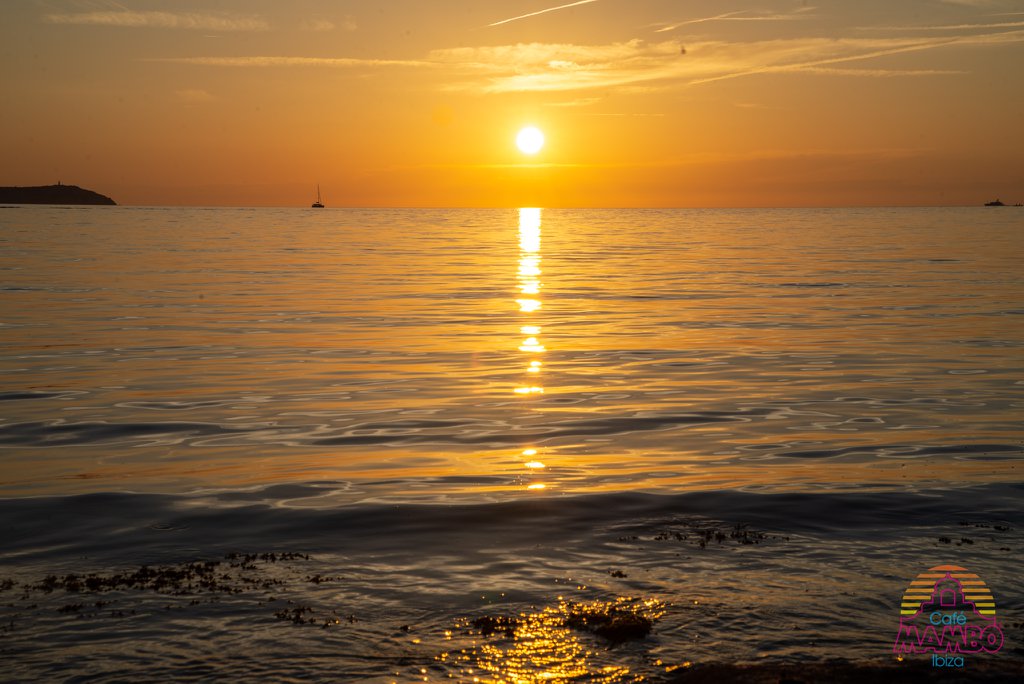 Cafe Mambo Ibiza tweet media