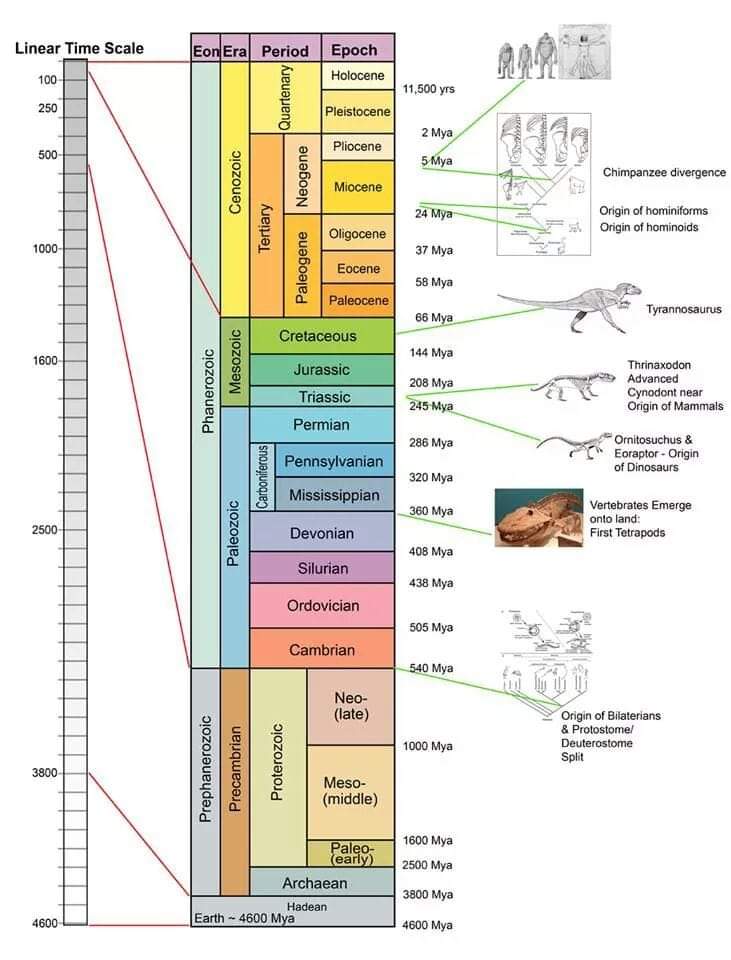 Geologic Time Scale
