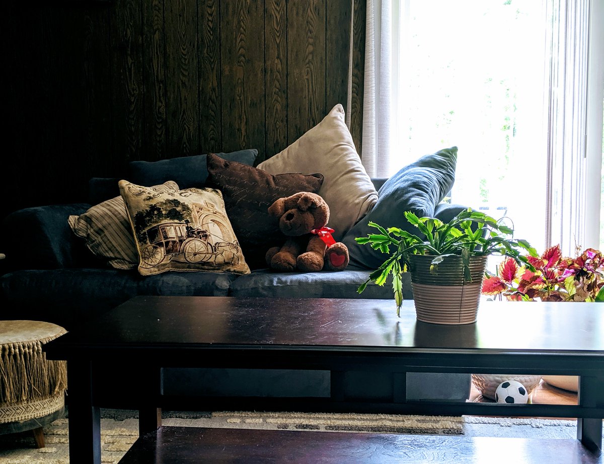 TacheHF's tweet photo. Pair this “Afternoon Stroll” cushion cover (pictured) with other ones similar to it for a vintage piece in your living room. 🌸
https://t.co/cboKtOs3ZJ 
Cushion covers are starting at $12.90! Click on the product link to our website and enjoy 10% off of your first order with us. https://t.co/yp1lCMXjxt