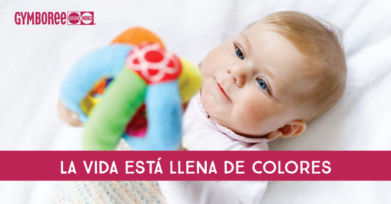 GymboMexico's tweet photo. Durante sus primeros meses de vida, los recién nacidos no son capaces de ver colores, además, un bebé tendrá visión perfecta a los 6 meses de edad. 🥰🤗 https://t.co/hpDaB2U3fK