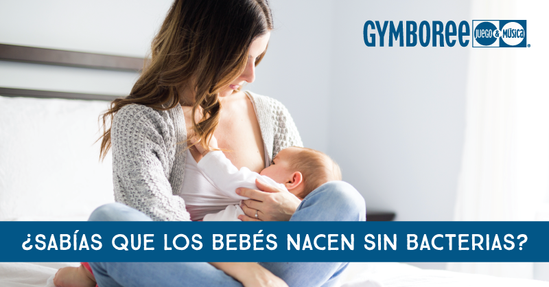 GymboMexico's tweet photo. De acuerdo a un estudio realizado en Irlanda, las bacterias son necesarias para el buen funcionamiento de nuestro cuerpo, pero los bebés nacen sin ellas. Por eso es importante que tomen leche materna, especialmente el llamado calostro, que activa su sistema inmune. https://t.co/xif9HPqgv5
