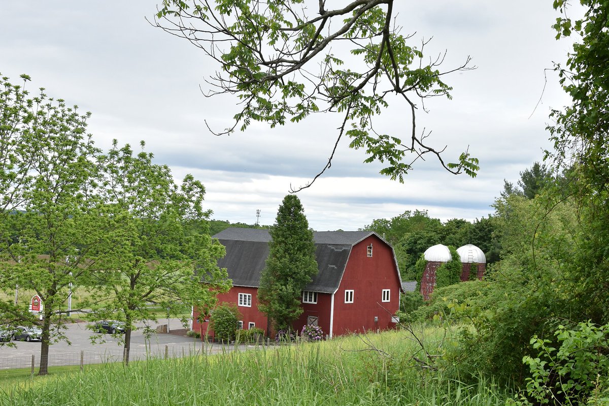 We’re only two weeks away from #BrunchAndBrews! Get your #tickets now before they’re gone – you don’t want to miss this delicious event to #benefit <a href="/FoodBankWMA/">Food Bank of Western Massachusetts</a>. foodbankwma.org/events/brews-b…
#FathersDayWeekend #FoodBankEvents #LocalBeer
