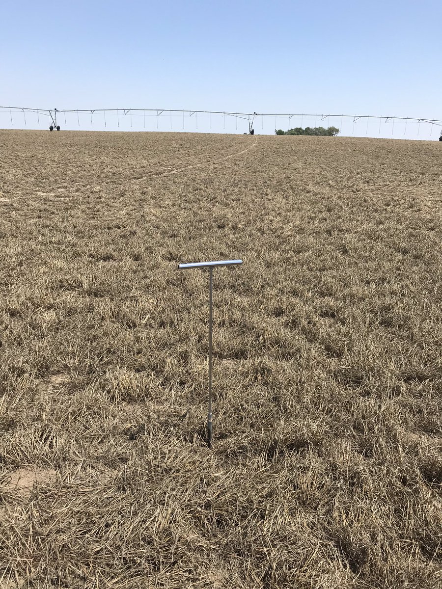 Bryan Boroughs tweet media