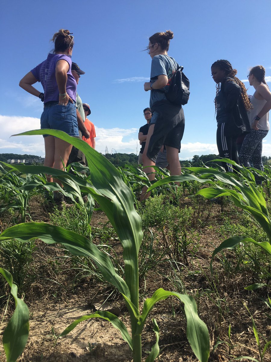 SecuringOurFood's tweet photo. Huge thanks to Floyd Childress of Childress Farms for showing us around his farm today 👨🌾🌾🌽 It was great to see the enthusiasm & passion he has for sustainable farming 🚜 & #Ag stewardship🐄🍃We’re can’t wait for our next visit! #VTREEL #AgInnovation #SecuringOurFood #NIFA https://t.co/3lDOSSbkf4