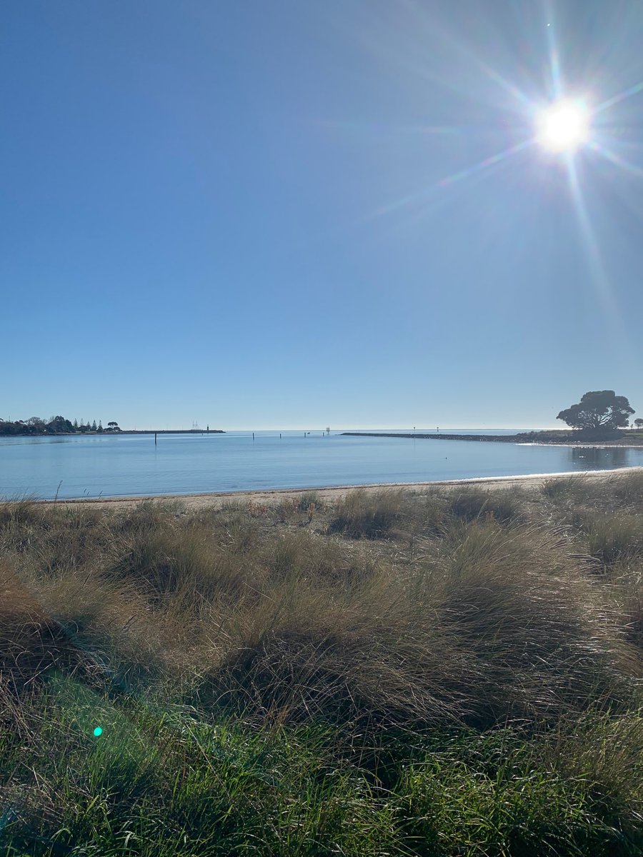 This winter thing is pretty great if you ask me. #lovetassie