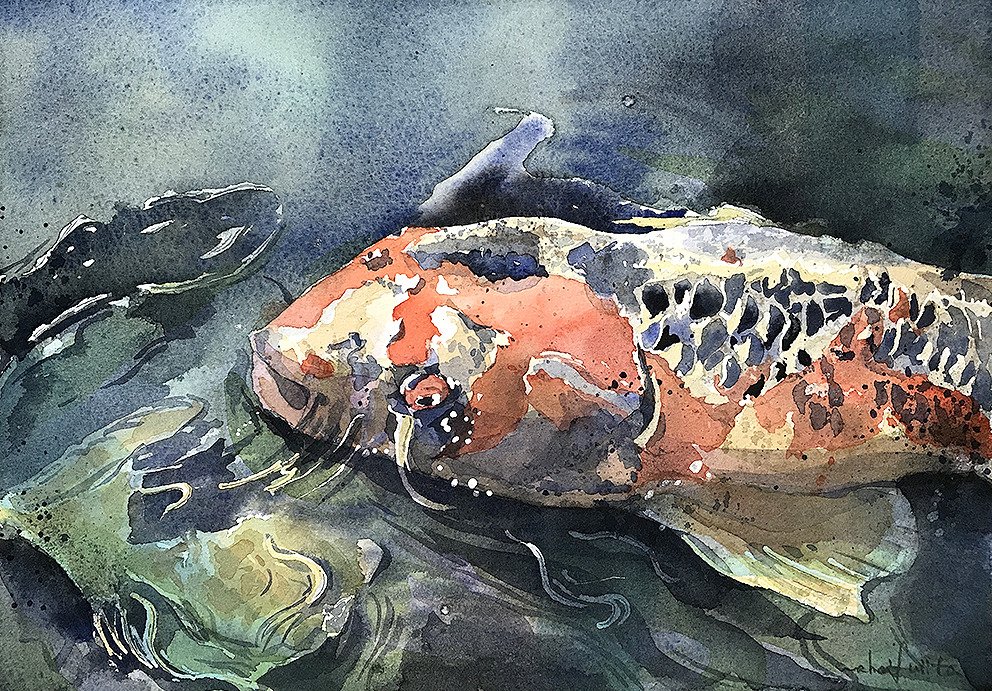 Hashtag 鯉の絵 Na Twitteru Hashtag 鯉の絵 Na Twitteru