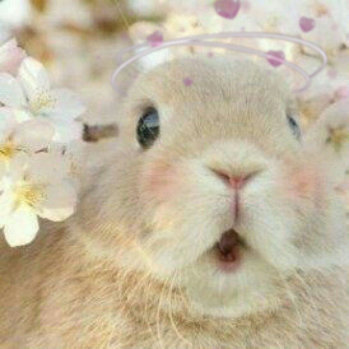 ・ 𓈒 🧸 ˖ mua ̇ ! 𐬹 tweet media