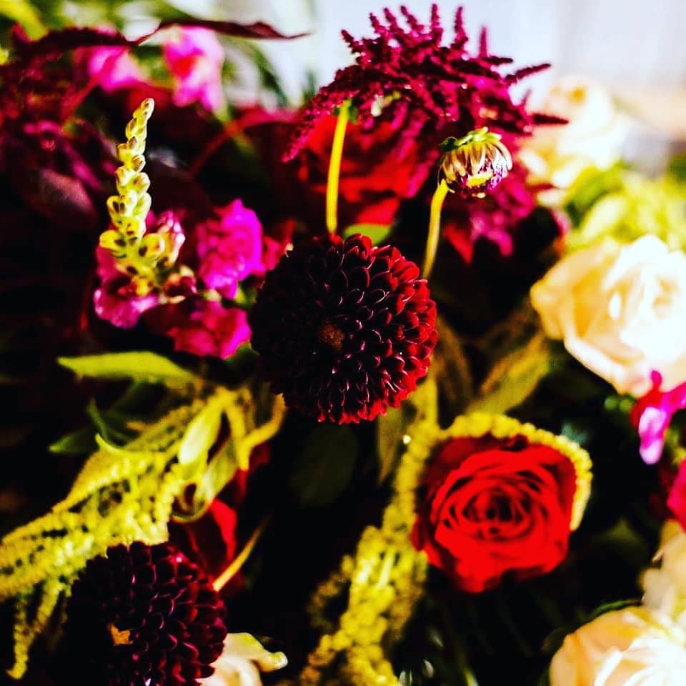 joli_cpt's tweet photo. Riana and Ruan @DeOudeKraal
#WeddingPlanning
#joliweddings
#brides #floral https://t.co/PXhkvgTdgQ