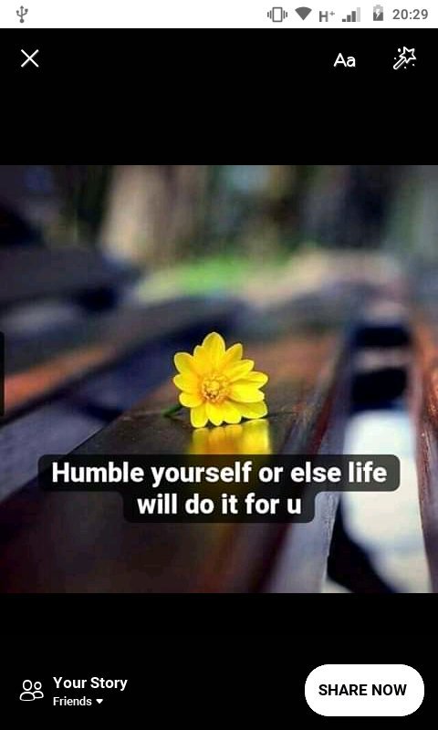 iam_suprise's tweet photo. #humble💖 https://t.co/rininsipze