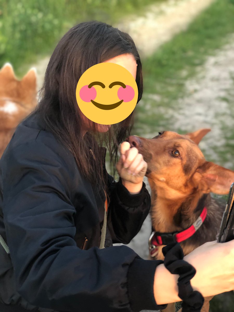 Paco_Bealy_Jane's tweet photo. Abendliche Gassirunde..Romantik und Love is in the air ๐
#PacoUndBealy meets #Spenc ๐ถ https://t.co/zKiXrkXSoR