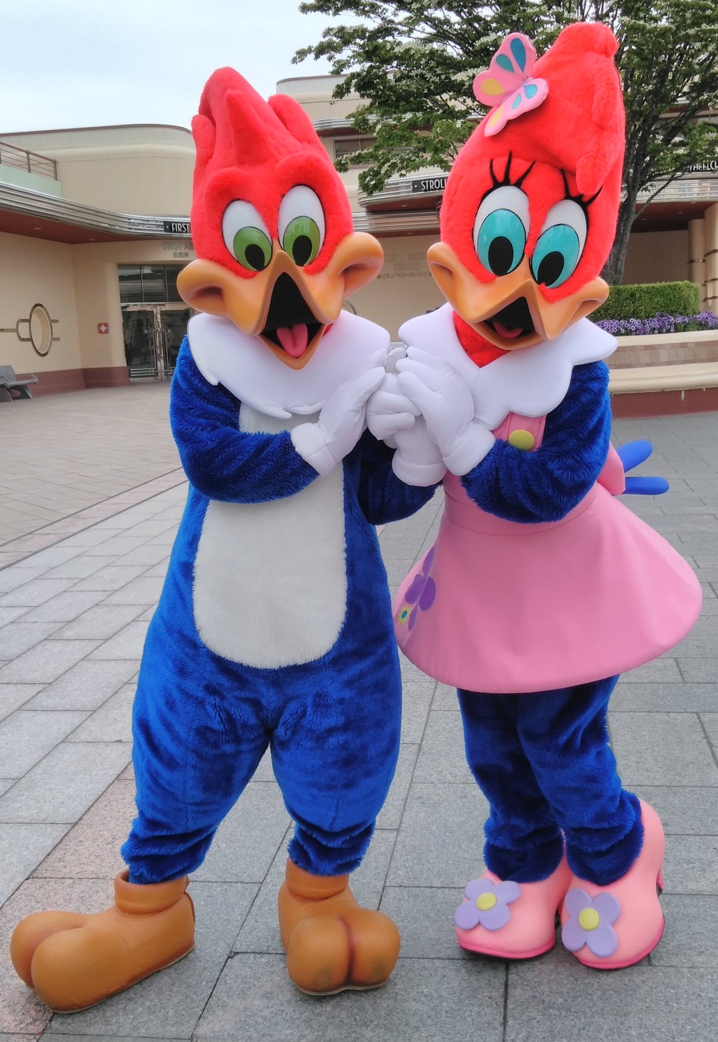 Sofviou Usjのキャラクター グリーティングは撮影前にキャラクター達がめっちゃ絡んでくるので普通に写真撮るのに時間がかかります 皆 性格が少しやんちゃです Usj キャラクター グリーティング T Co 4bnyuy8dpz Twitter