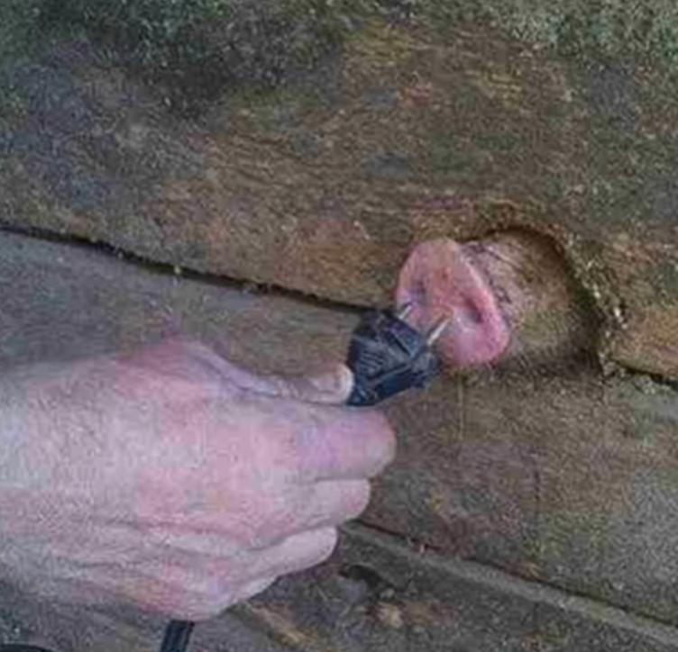 cursed_thought's tweet image. 🤔