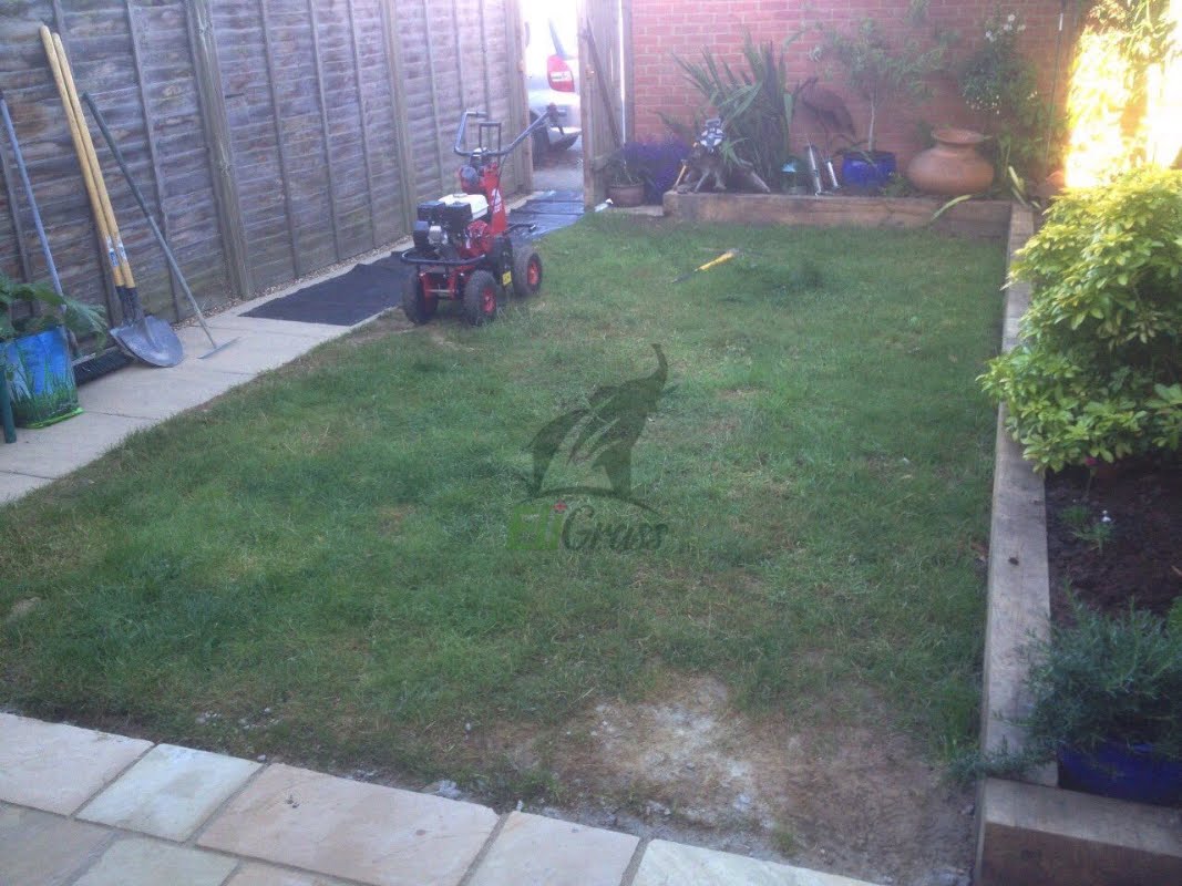 surreygrass's tweet photo. RT https://t.co/i38hEyLXyD RT https://t.co/Adc7Kk7Q1N Concrete pathways to soft grass, tired lawns to fresh lush green ones #artificialgrass #artificialturf #transformation #backgarden #grass… https://t.co/p2AXkw4vpq