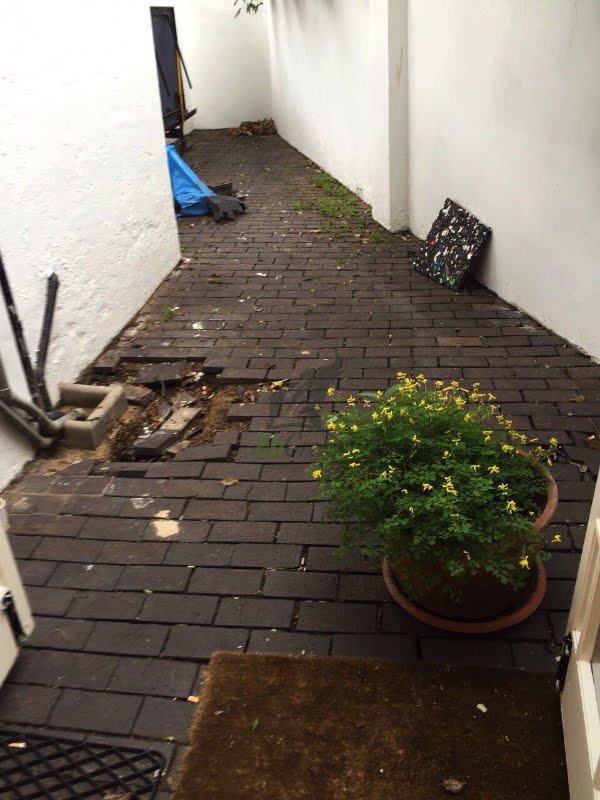 surreygrass's tweet photo. RT https://t.co/i38hEyLXyD RT https://t.co/Adc7Kk7Q1N Concrete pathways to soft grass, tired lawns to fresh lush green ones #artificialgrass #artificialturf #transformation #backgarden #grass… https://t.co/p2AXkw4vpq