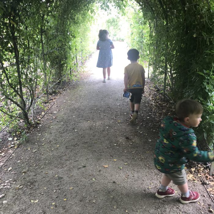 EmmaLander2's tweet photo. Marking National Children's Gardening Week with ideas to get them out there https://t.co/EwTOntbS1X #NCGW #NationalChildrensGardeningWeek https://t.co/opPtasnHYf