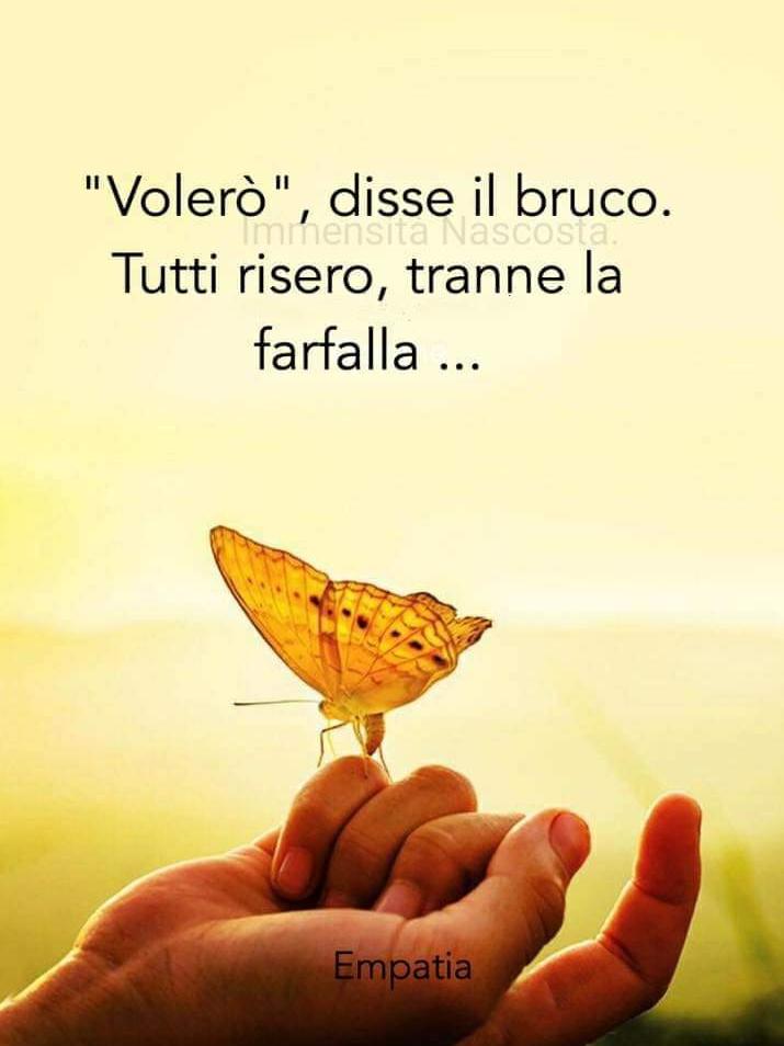 mediaRmente's tweet photo. https://t.co/Hsd6GexmRX